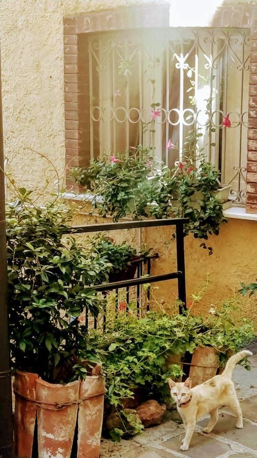 شقة Casa Gaia Trivigno المظهر الخارجي الصورة